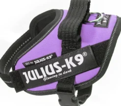 Julius K9 Julius-K9 IDC Mini-mini -valjaat (40-53 cm)| Valjaat