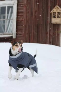 Kivalo Luosto Dog Winter Jacket koiran talvitakki, 50 cm, harmaa| Talvitakit