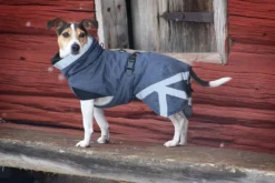 Kivalo Luosto Dog Winter Jacket koiran talvitakki, 50 cm, harmaa| Talvitakit