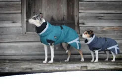 Kivalo Talvitakit^Luosto Dog Winter Jacket koiran talvitakki, 50 cm, petrooli