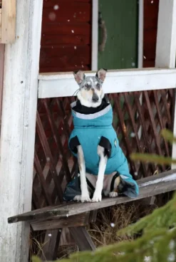 Kivalo Talvitakit^Luosto Dog Winter Jacket koiran talvitakki, 60 cm, petrooli