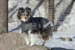 Kivalo Niva Dog Raincoat koiran sadetakki, 55 cm, harmaa| Sadetakit