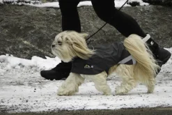 Kivalo Sadetakit^Niva Dog Raincoat koiran sadetakki, 45 cm, harmaa