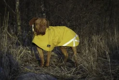 Kivalo Niva Dog Raincoat koiran sadetakki, 40 cm, keltainen| Sadetakit