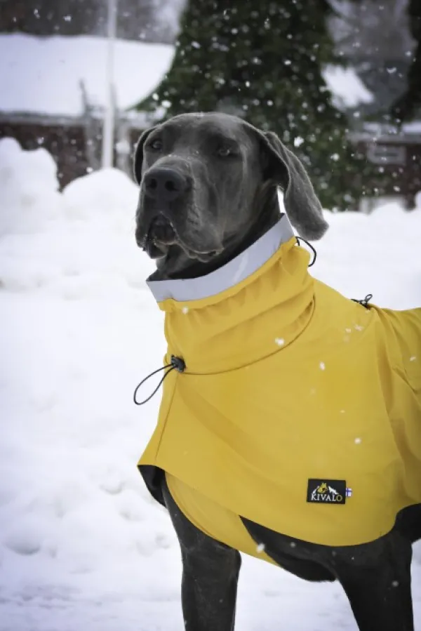 Kivalo Sadetakit^Niva Dog Raincoat koiran sadetakki, 55 cm, keltainen