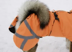 Kivalo Ohto Dog Wind Jacket koiran tuulitakki, 40 cm, oranssi| Sadetakit