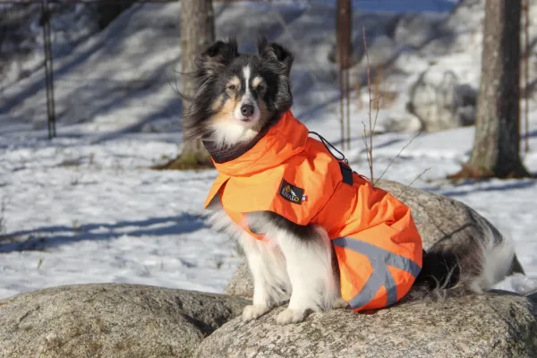 Kivalo Sadetakit^Ohto Dog Wind Jacket koiran tuulitakki, 60 cm, oranssi