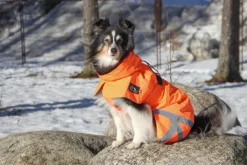Kivalo Ohto Dog Wind Jacket koiran tuulitakki, 50 cm, oranssi| Sadetakit