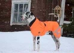 Kivalo Sadetakit^Ohto Dog Wind Jacket koiran tuulitakki, 45 cm, oranssi