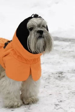 Kivalo Sadetakit^Ohto Dog Wind Jacket koiran tuulitakki, 45 cm, oranssi
