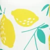 Klean Kanteen Juomapullot^Classic juomapullo, 800 ml, Lemons