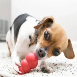 Kong Aktivointilelut^Classic koiranlelu, L, punainen