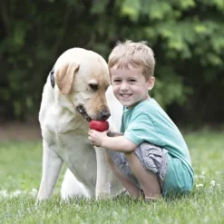 Kong Aktivointilelut^Classic koiranlelu, S, punainen