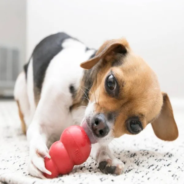 Kong Aktivointilelut^Classic koiranlelu, XXL, punainen