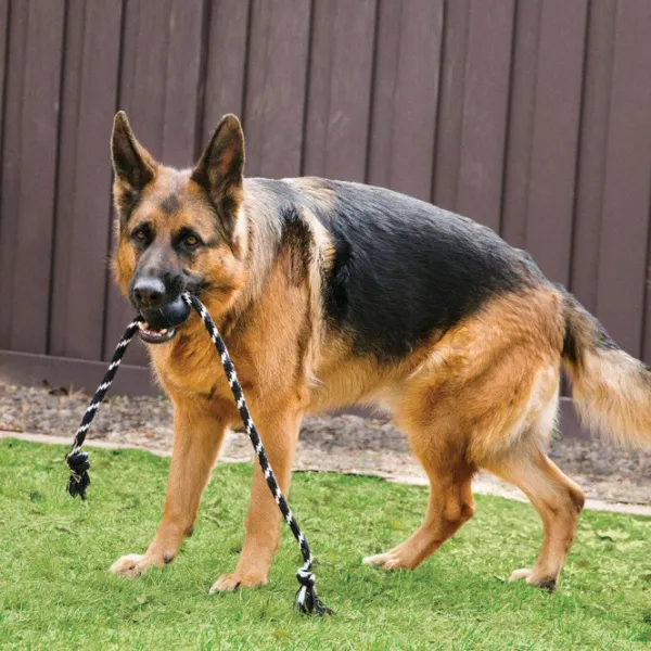 Kong Noutolelut^Extreme Ball koiranlelu, L