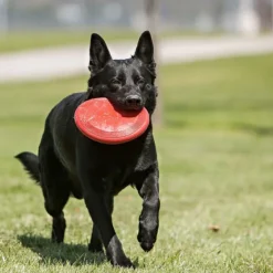 Kong Flyer koiranlelu, L| Noutolelut