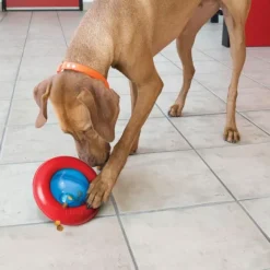 Kong Aktivointilelut^Gyro koiranlelu, L