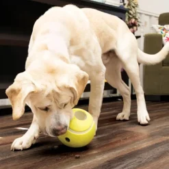 Kong Aktivointilelut^Rewards Tennis koiranlelu, Large