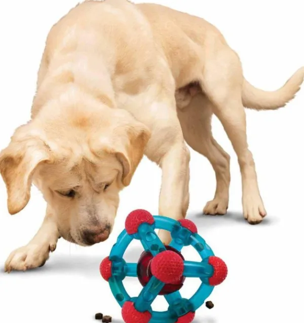 Kong Rewards Tinker koiranlelu, M/L| Aktivointilelut