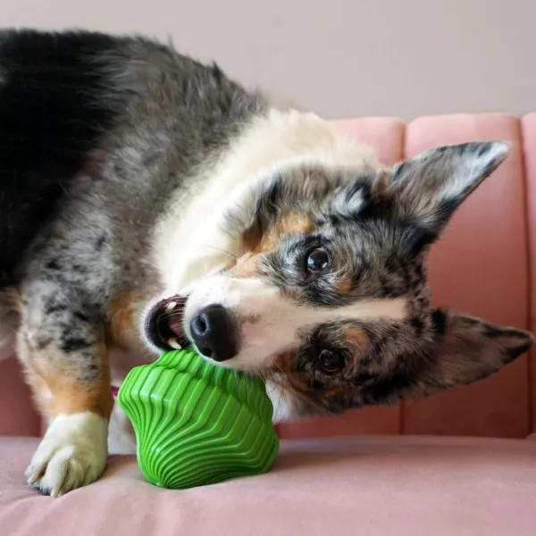 Kong Squeezz Orbitz Pin Top Mix koiranlelu, M/L| Aktivointilelut