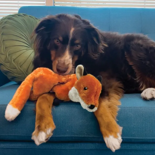 Kong Pehmeät Lelut^Wild Low Stuff Fox