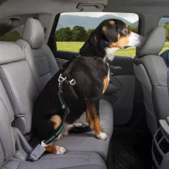 Kurgo Kuljetushäkit Ja Matkustustarvikkeet^Direct to Seat Belt Swivel Tether koiran turvavyö, sininen