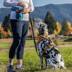 Kurgo Go Stuff It Treat Bag makupalapussi, tummansininen| Makupalat