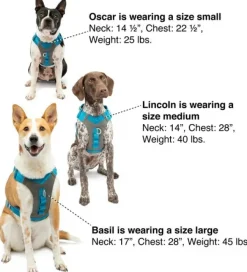 Kurgo Journey Air Harness koirien valjaat, Purple| Valjaat