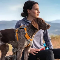 Kurgo Journey Air Harness koirien valjaat, Coral| Valjaat