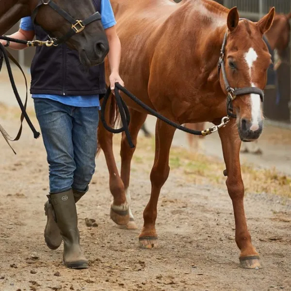 Le Chameau Men's Vierzonord Neoprene Lined Boot Brown| Saappaat