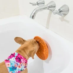 Lickimat koirankuppi Splash sininen 19 cm| Koirankupit