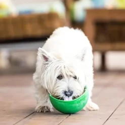 Lickimat Koirankupit^nuolumatto Wobble Sininen 17x17x8 cm