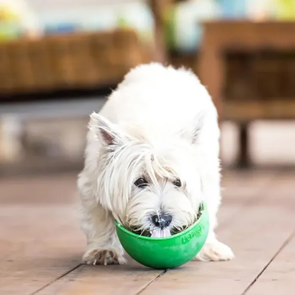 Lickimat Koirankupit^nuolumatto Wobble Sininen 17x17x8 cm