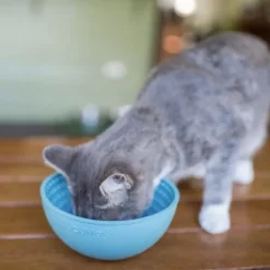 Lickimat Koirankupit^nuolumatto Wobble Sininen 17x17x8 cm