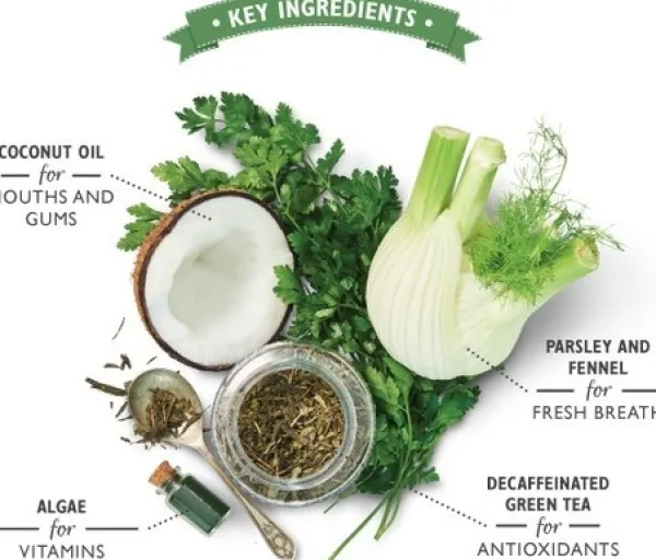 Lilyu0027s Kitchen Makupalat^Lily's Kitchen Woofbrush Dental Care Small Multipack hammashoitoherkku, 7 x 22 g