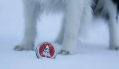 LovePaws Winter Edition tassuvaha, 40 ml| Haavojen Hoito