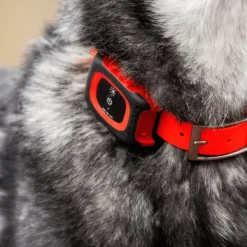 MiniFinder Koiratutkat^Collar kaulapanta, Red