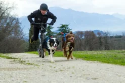 Neewa Adjustable vetovaljaat musta| Juoksu- Ja Pyöräilytaluttimet