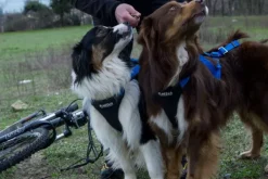 Neewa Adjustable vetovaljaat musta| Juoksu- Ja Pyöräilytaluttimet