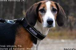 Neewa Kaulapannat^puolikuristuspanta, musta