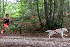 Neewa Racing Tug Line med Bungee 1,7m| Juoksu- Ja Pyöräilytaluttimet
