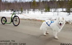 Neewa Sled Pro vetovaljaat, sininen| Valjaat