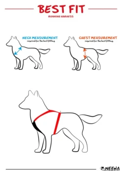 Neewa valjaat, punainen| Valjaat