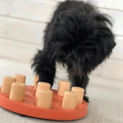 Nina Ottosson Aktivointilelut^Dog Smart Komposit Orange