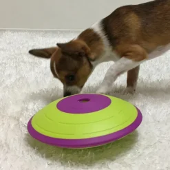 Nina Ottosson Dog Treat Maze| Aktivointilelut