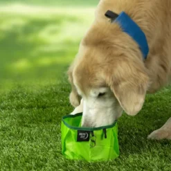 Nite Ize Koirankupit^RadDog Collapsible Bowl Lime