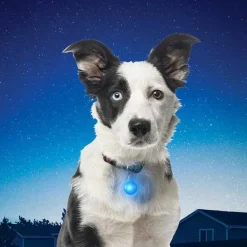 Nite Ize SpotLit Collar Light Red| Vilkkuvalot Ja Huomiotuotteet