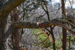 Nordic Pocket Saw Arborist V.2 taskusaha, oranssi/musta| Sahat