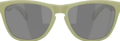 Oakley Aurinkolasit^Frogskins Matte Fern Prizm Black Polarized