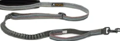 OllyDog Flagstaff Adjustable Spring Leash säädettävä talutin, värikäs| Taluttimet